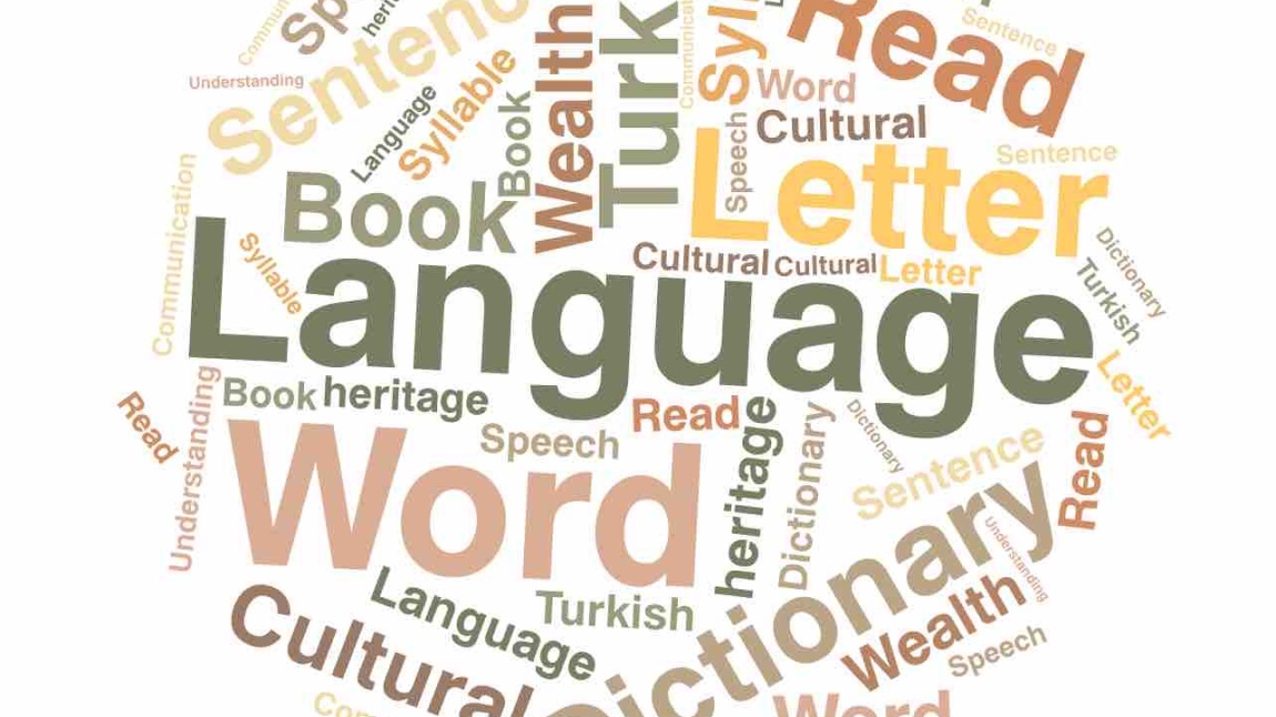 Languages Meet (Diller Buluşuyor ) eTwinning Projesi Şubat Ayı Etkinlikleri